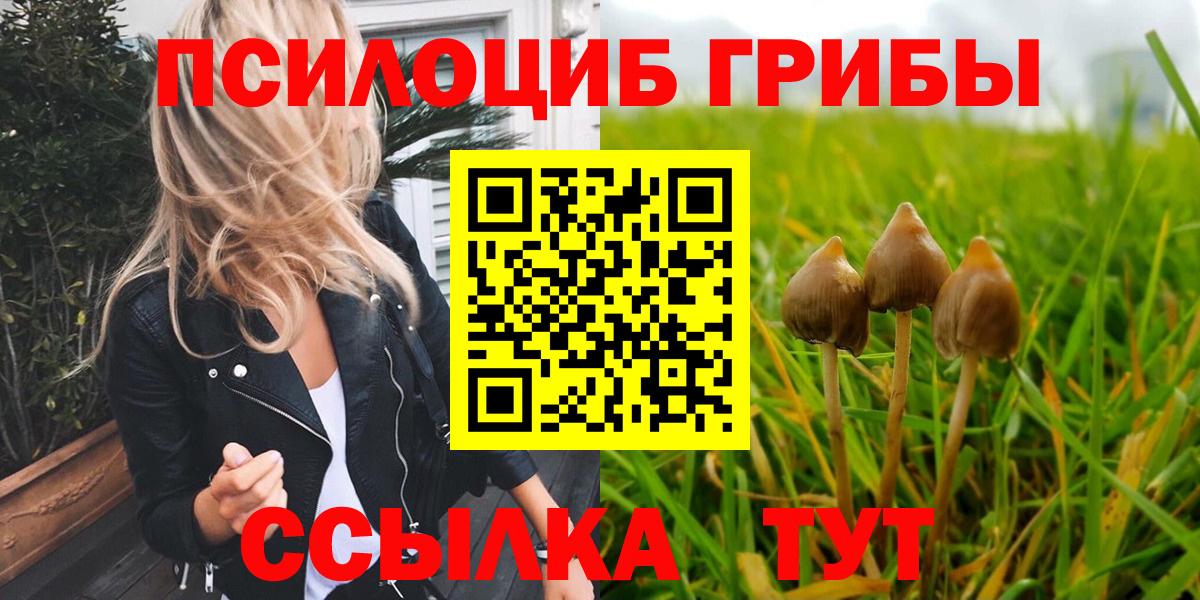 Галлюциногенные грибы ЛСД Фролово